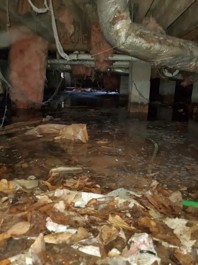 Crawl space flood assessment for Leak Detection & Repair in Othello